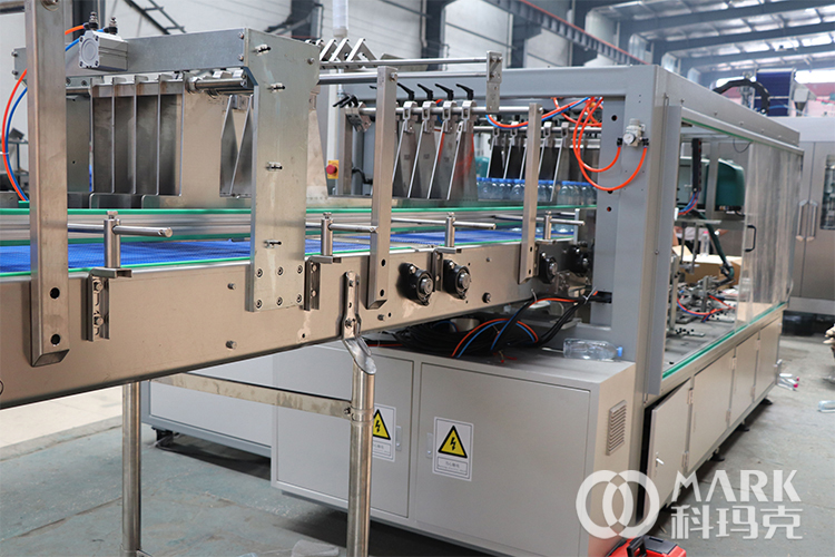 carton packing (9)