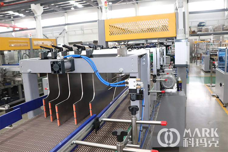 carton packing (15)