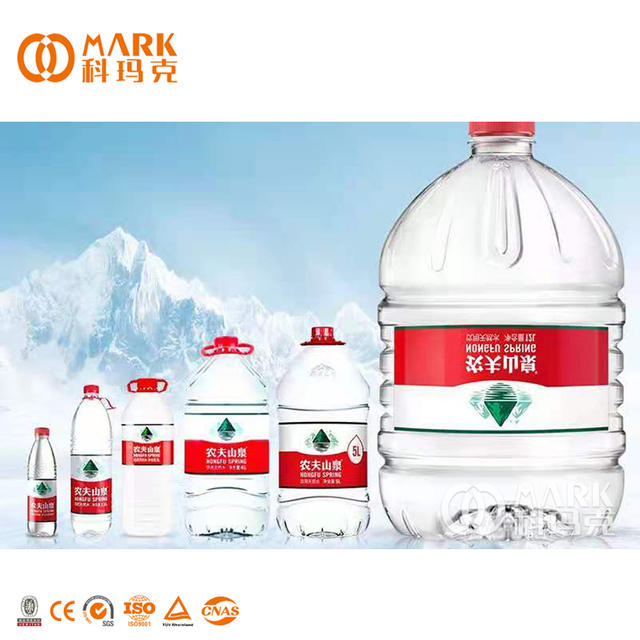 Automatic Plastic PET Water Bottle Making Blowing Moulding Maker Machine