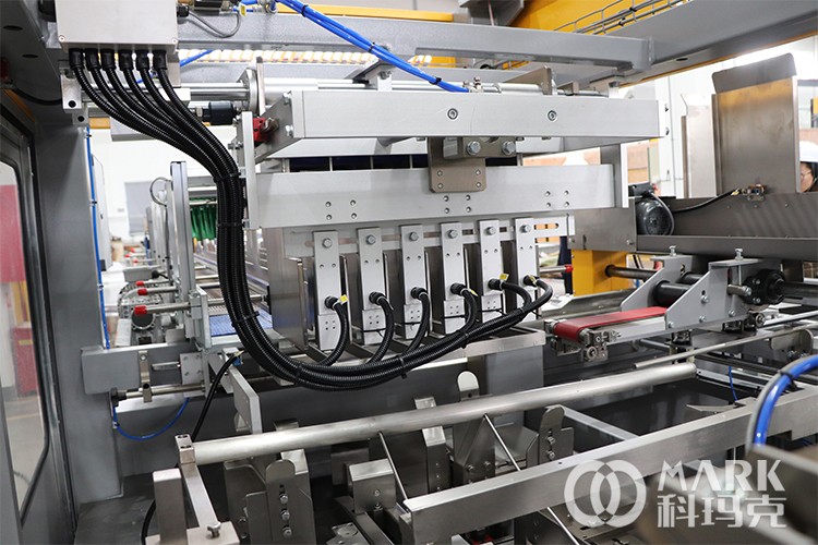 carton packing (18)