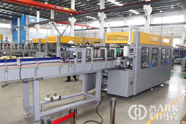 carton packing (13)